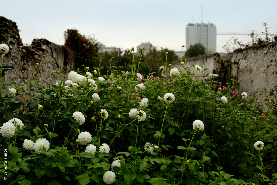 Juillet-août 2015