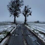 Misery, 13 janvier 2010
