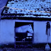 Misery, 13 janvier 2010