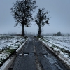 Misery, 13 janvier 2010