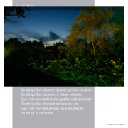 comme•le•chien•4